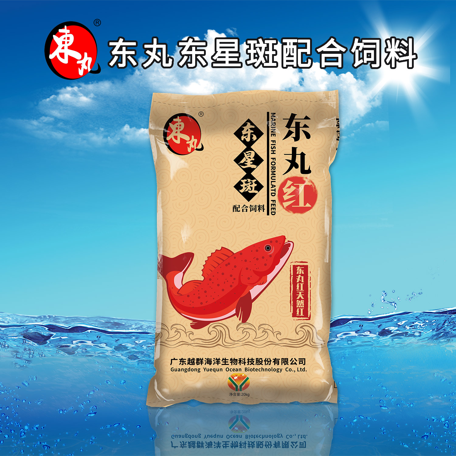 AgGame(����)�ٷ���վ