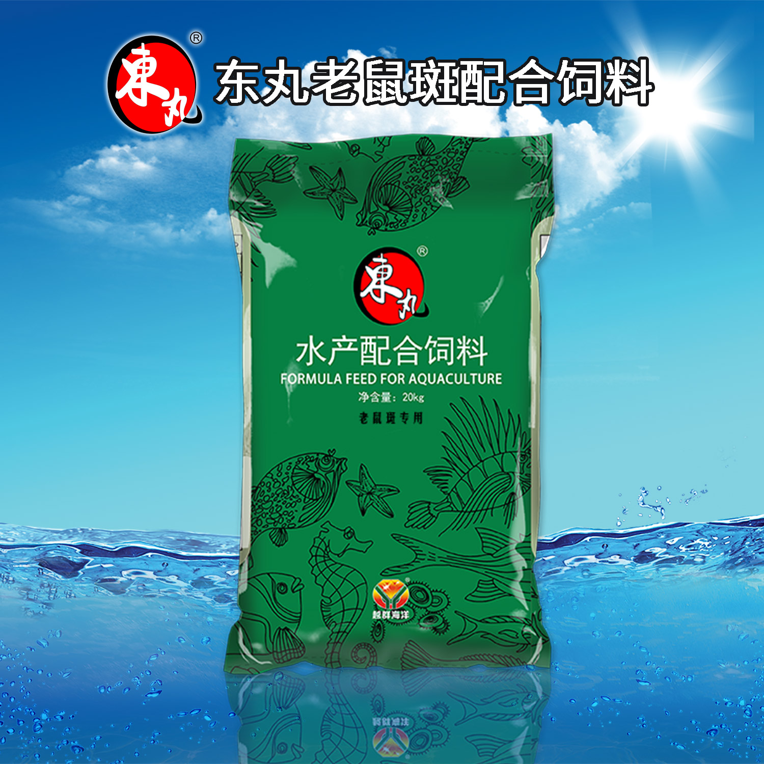 AgGame(����)�ٷ���վ