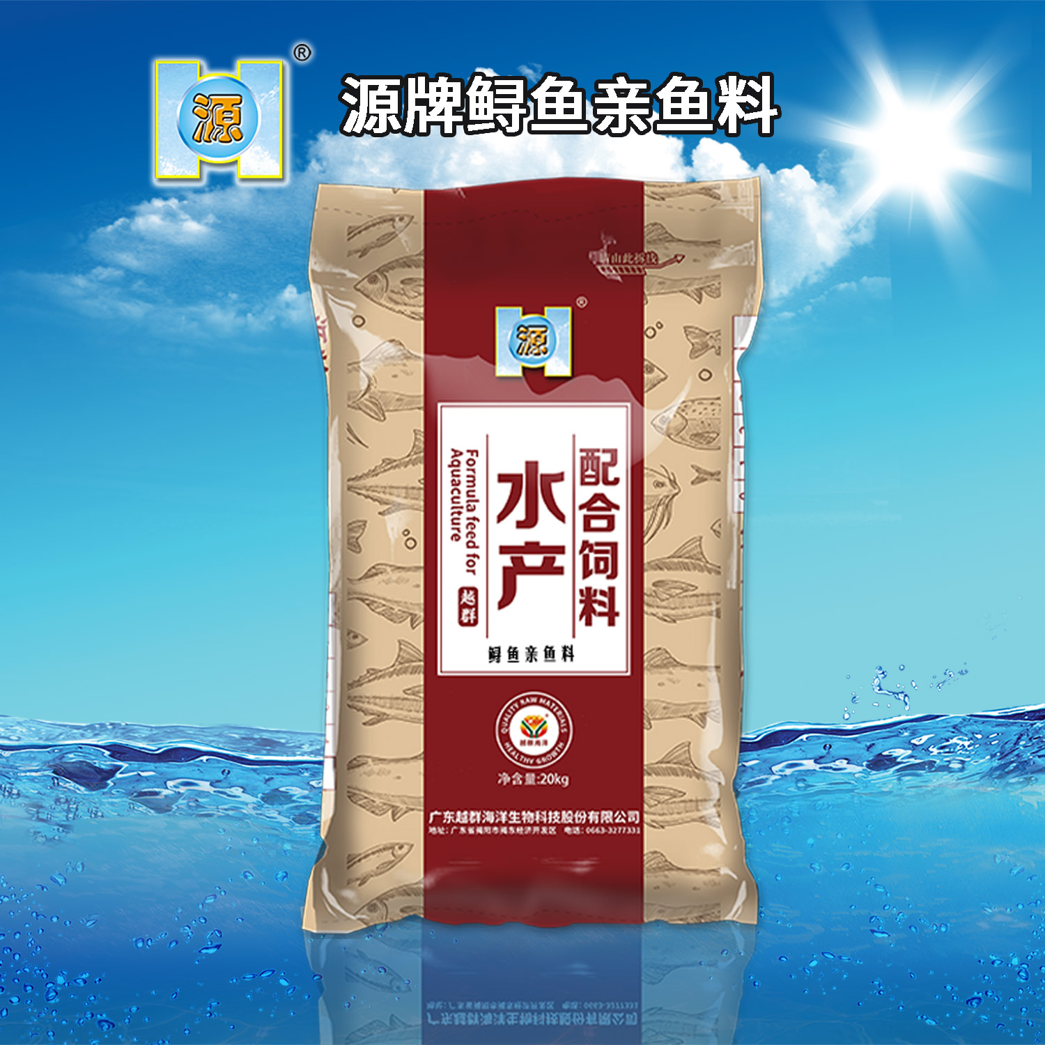 AgGame(����)�ٷ���վ